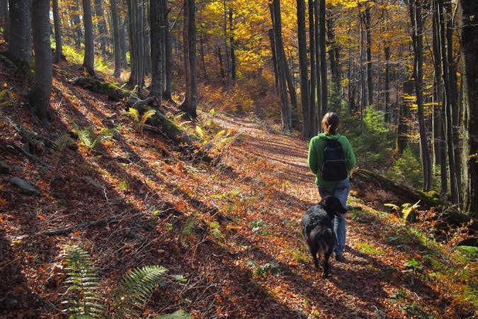 Wandern in Neugraben 3 schöne Routen ab der SBahn