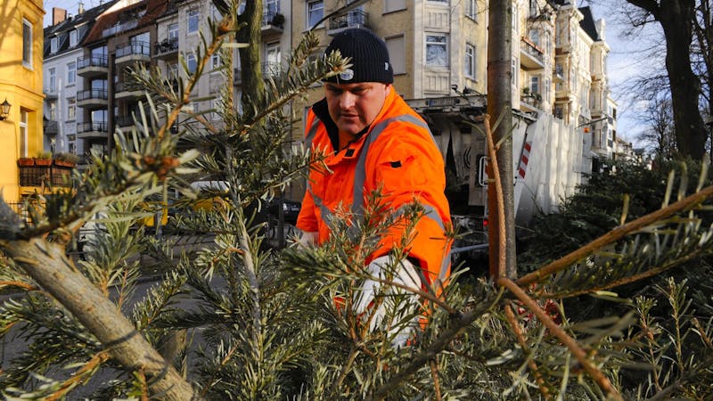 Weihnachtsbaum entsorgen mit der Stadtreinigung Hamburg